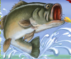 Gioco online di Pesca - giochi gratis fishing game