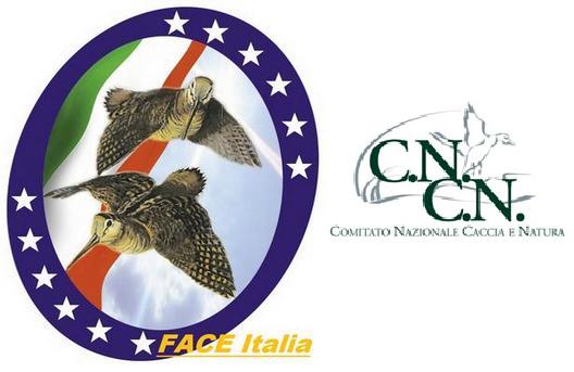 FACE Italia - CNCN FACE Italia - CNCN