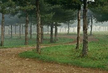 Parco del Roccolo Canegrate Parco del Roccolo Canegrate