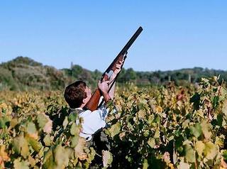 Cacciatore Migratoria Cacciatore Migratoria