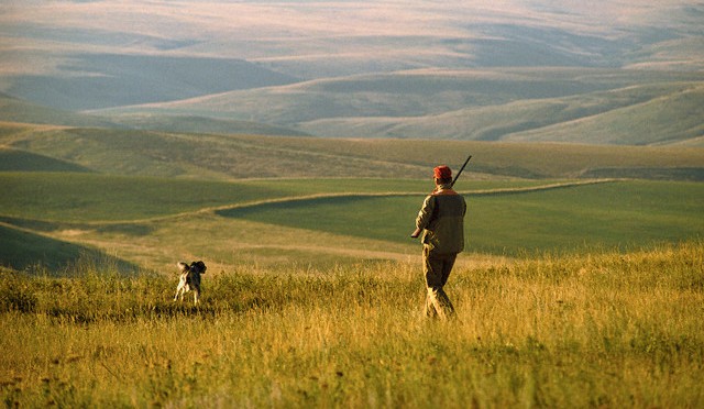 Cacciatore con cane Cacciatore con cane