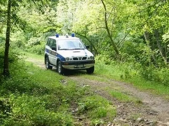 Bracconaggio: Livorno, sorpreso a catturare uccelli con trappole illegali -  Caccia Passione