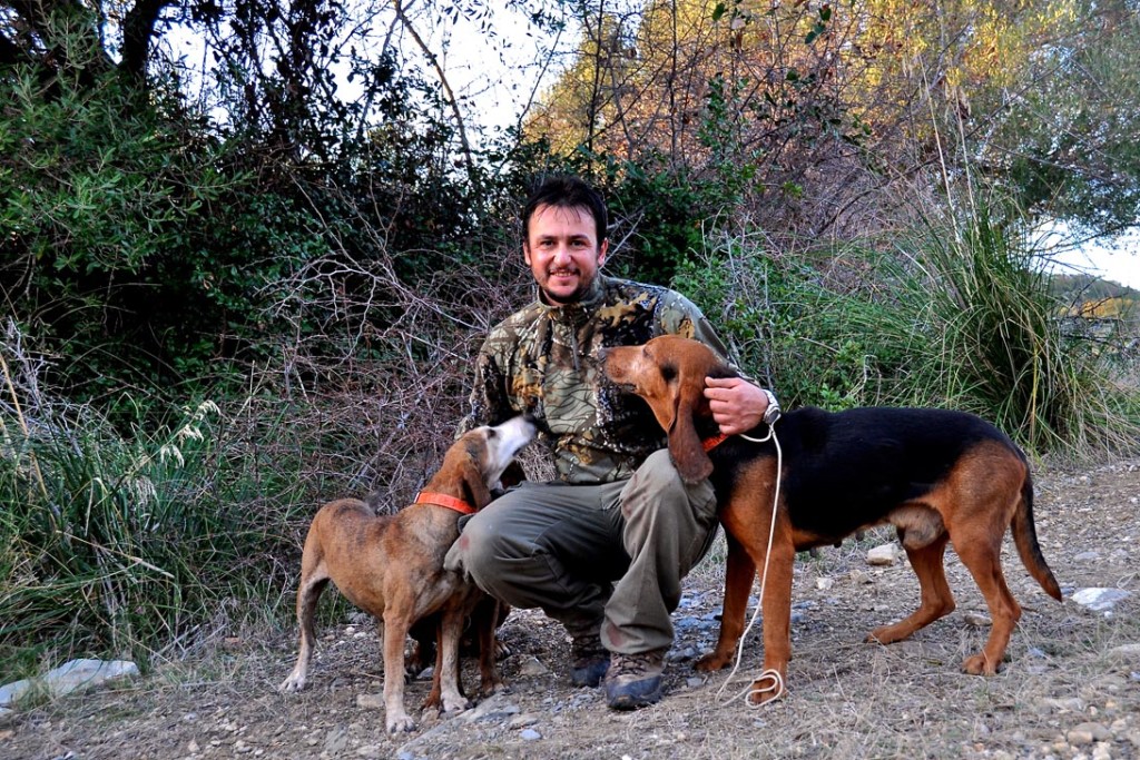 Cani Da Caccia Al Cinghiale.. "In Prima Linea".. - Caccia Passione