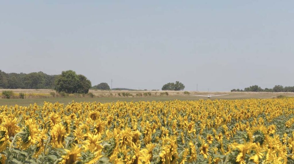 Caccia al capriolo a Orvieto con Bergara Rifles